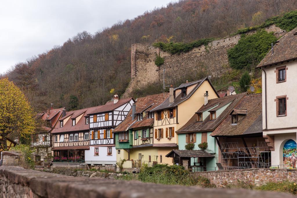 Chez Daniel Apartment Kaysersberg-Vignoble Стая снимка